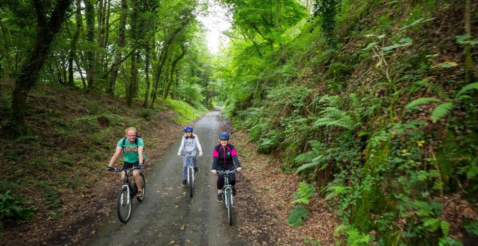 Plymbridge Woods cycle